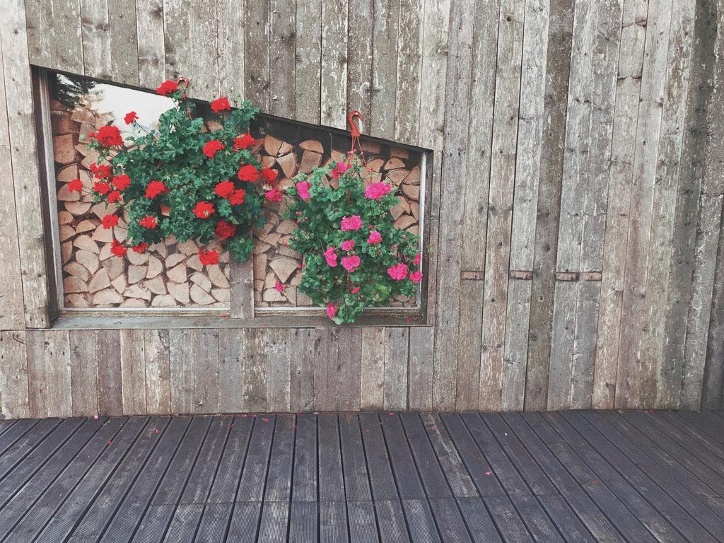 伊玛萨露汽车旅馆 Ilmatsalu 外观 照片